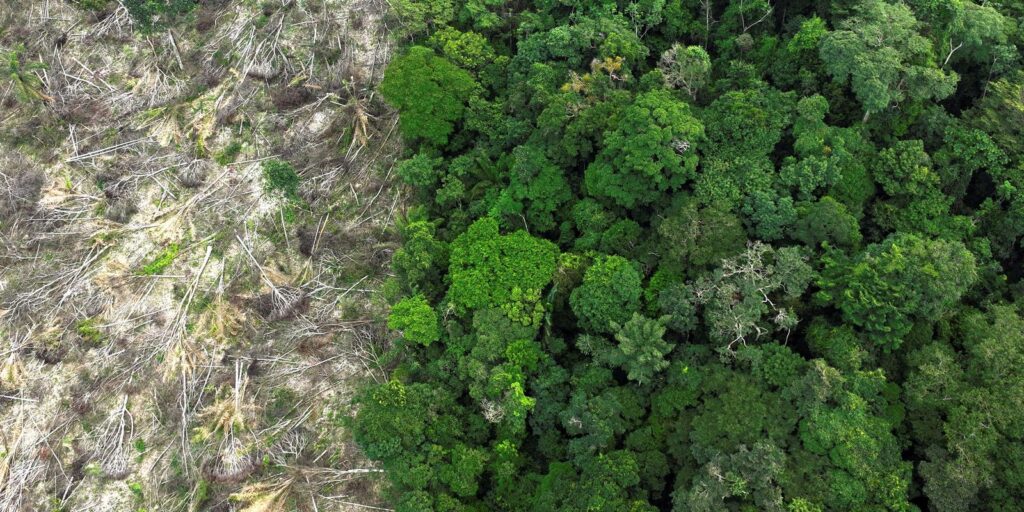 areas-desmatadas-da-amazonia-sofrem-com-aumento-de-temperatura-na-seca