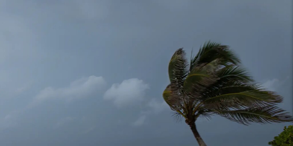 chuvas-atingem-norte,-nordeste-e-litorais-de-sul-e-sudeste-esta-semana