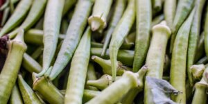 garantia-safra:-veja-lista-dos-que-receberao-pagamento-em-abril