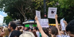 cao-orelha:-justica-arquiva-caso-a-pedido-do-ministerio-publico