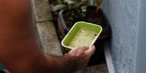el-nino-pode-aumentar-casos-de-chikungunya-e-dengue-no-brasil