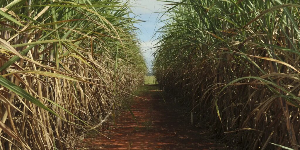 conselho-eleva-limite-de-remuneracao-do-eco-invest-brasil