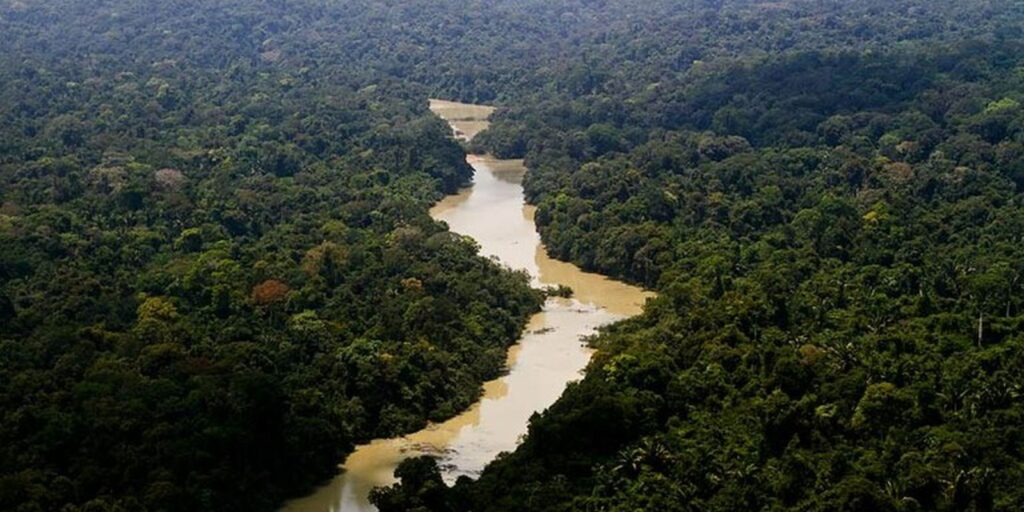viva-maria:-uma-mulher-na-linha-de-frente-pela-amazonia
