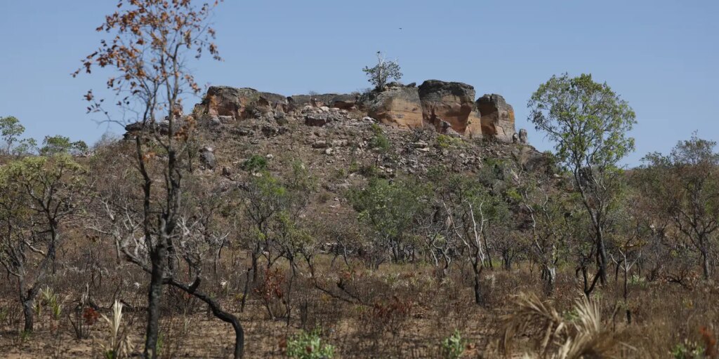 terras-indigenas-representam-preservacao-e-cultura-para-o-cerrado