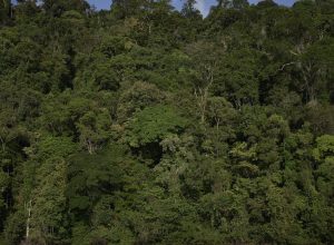 vetos-a-lei-de-licenciamento-ambiental-entram-na-pauta-do-congresso
