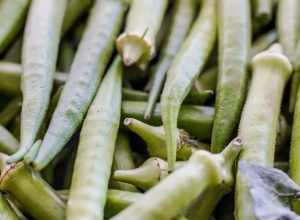 garantia-safra:-veja-lista-dos-que-receberao-pagamento-em-abril