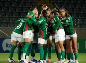 palmeiras-derrota-botafogo-e-se-aproxima-da-lideranca-no-br-feminino