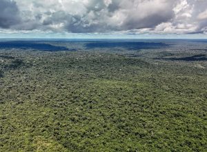 adversaria-em-campo,-noruega-e-parceira-de-acoes-ambientais-do-brasil